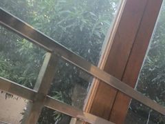 -碗中海·蒸汽海鲜·桑拿鸡(岭南天地店)