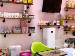 -喵店&猫咖
