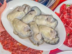 -花苑美食横琴生蚝火锅(拱北粤华路店)