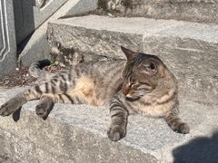 -宝通禅寺