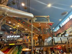 -卡通尼·Safari非洲探索乐园·生日会(金桥国际商业广场店)