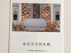 -金筷子·喜事汇