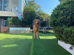 -汪说喵讲宠物乐园宠物酒店(红星美凯龙店)