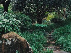 -中国茶叶博物馆(双峰馆区)