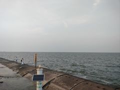-东疆建设开发纪念公园