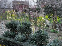 -南紀白浜 浜千鳥の湯 海舟