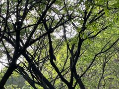 -青州市云门山风景区