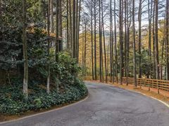 -莫干山风景区
