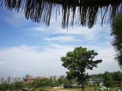 -莫子山公园