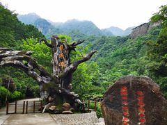 -龙湾潭国家森林公园