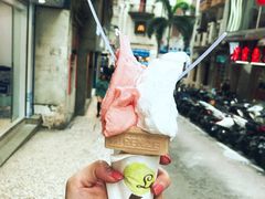 -柠檬车露(卖草地店)