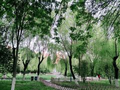 -丰台科技园生态主题公园
