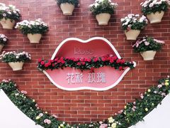 -深圳仙湖植物园