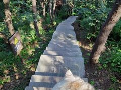 -沈阳辉山风景区