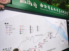 -南海湾森林生态园