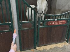 -杭州少年儿童公园