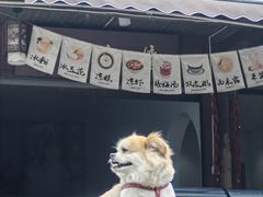 -雅安上里古镇
