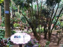 -南山植物园