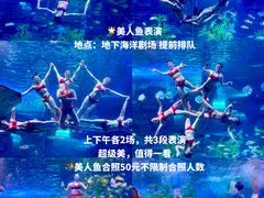 -泉城欧乐堡海洋极地世界