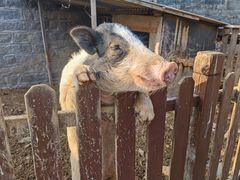 -清风小镇闯关东影视基地