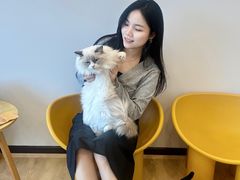 -有喵·猫咖·狗咖·40+猫狗有小奶狗(岗厦店)