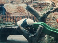 -石家庄市动物园