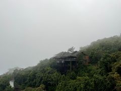 -三亚亚龙湾人间天堂鸟巢度假村