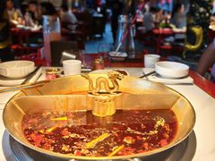 -小龙翻大江文化火锅(宽窄店)