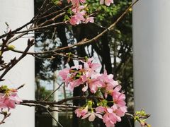 -文华公园(禅城区)