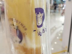 酸奶杨枝甘露-一只酸奶牛(锦城万达天虹店)