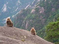 -黄山风景区