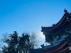 -香山公园