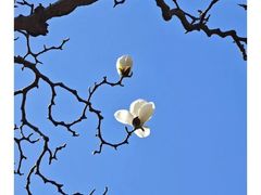 -颐和园
