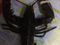-盒马鲜生(大成店)