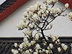 -堤角公园