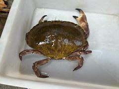 -来之顺海鲜菜馆·青岛菜·始于1993(栈桥店)