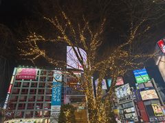 -涩谷全向十字路口