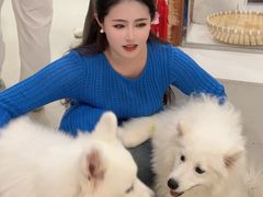 -共舞时光猫咖·狗咖(新街口店)