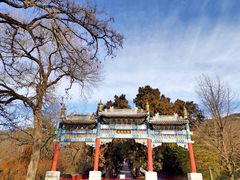 -北京植物园-展览温室
