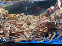 -徐记海鲜·宴会(大唐西市|丰庆店)