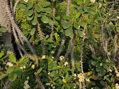 -国家植物园南园