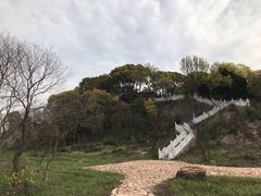 -上海市保健医疗中心(华东疗养院)