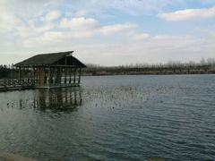 -溱湖国家湿地公园