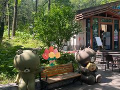 -洛阳白云山景区