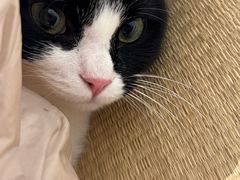 -原田新料理(1912店)