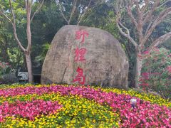 -野狸岛