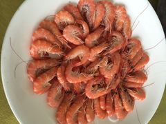小北江河鲜-小北江河鲜(新城店)