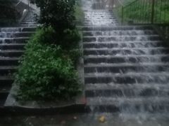 -小八仙·宴(三峡茶庄店)