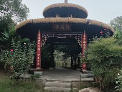 -东湖落雁景区