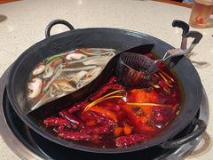 双拼鸳鸯锅-朱光玉火锅馆(龙阳广场店)